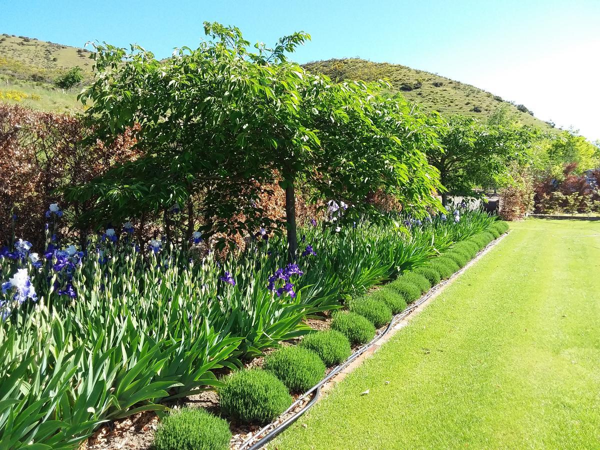 Hurunui Homestead Bed And Breakfast Hawarden 외부 사진